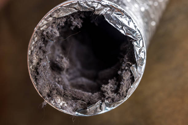 Best Duct Cleaning for Homes  in Avon, OH