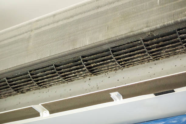 Best Air Duct Cleaning Company Near Me  in Avon, OH